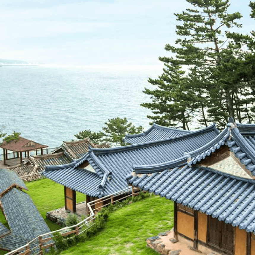 [보령-목동/서초] 죽도 상화원/해물삼합(전복,가리비,관자,차돌박이)/성주산 자연휴양림/대천해수욕장
